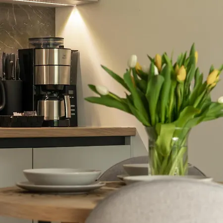 Iga Z Basenem I Saunami Karkonoce Stone Hill - Centrum Apartment Szklarska Poreba
